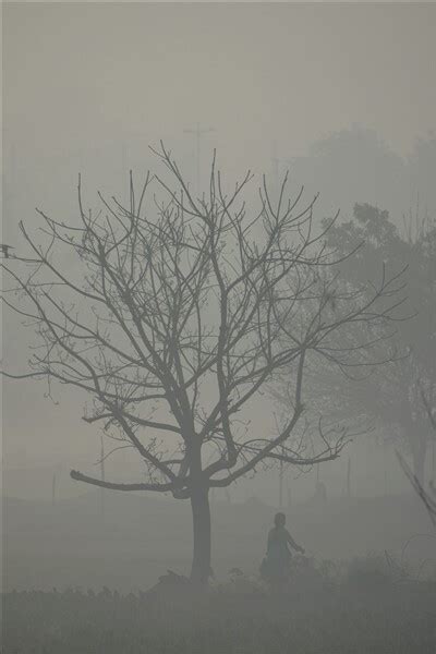 Foggy Day At India S Capital Delhi See Photos Oneindia