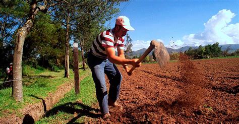 Comunidad Andina Presentar La Agenda Agropecuaria Andina