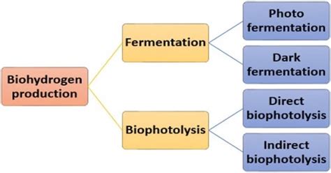 Biohydrogen - Assignment Point