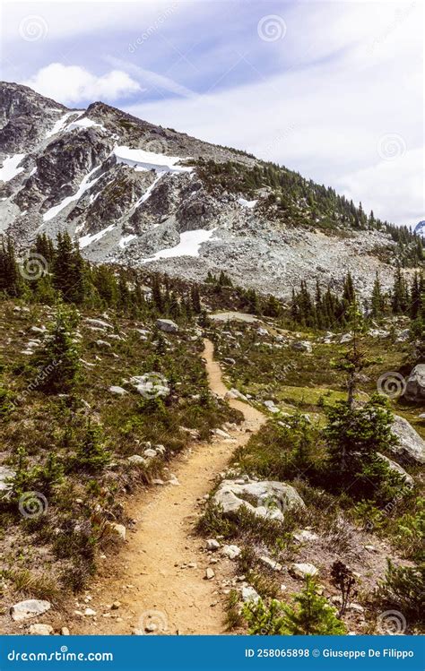 Hike To The Overlord Glacier Lookout Point Near Whistler In Canada