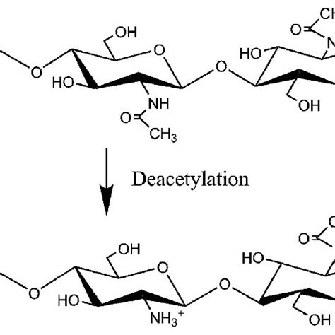 Structure Of Chitin And Chitosan Download Scientific Diagram