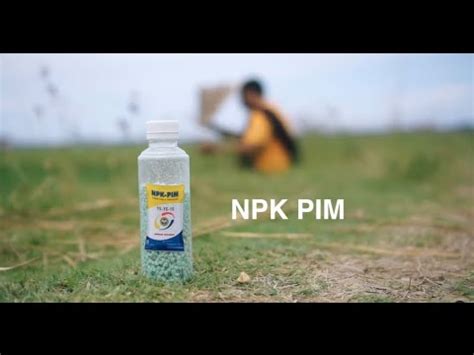 Npk Pim Makmurkan Petani Youtube