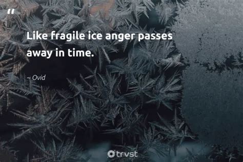 36 Ice Quotes That Remind Us To Protect All Of Nature 2024