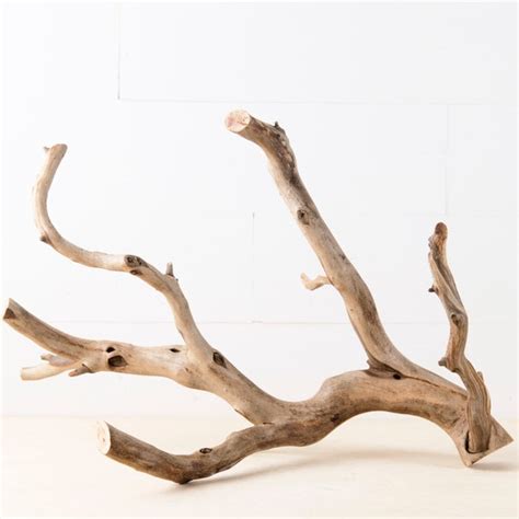 Aquarium Driftwood Centerpiece Etsy