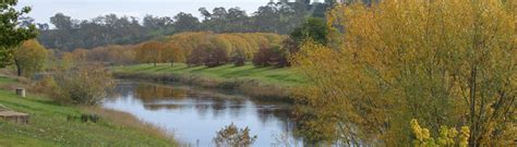 Bombala, NSW - Aussie Towns