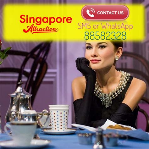 Madame Tussauds Singapore Ticket Options Available Tickets And Vouchers