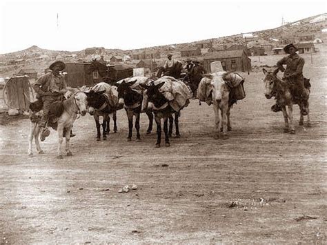 Old Picture Of The Day Prospectors Pioneer Trail Old Pictures