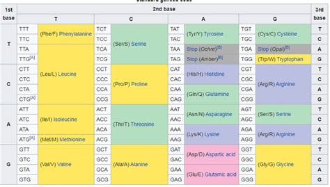 Dna Codon Table Molecular Biochemistry Dna