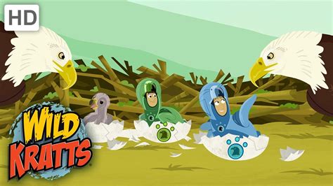 Wild Kratts Creature Math By PBS KIDS | lupon.gov.ph