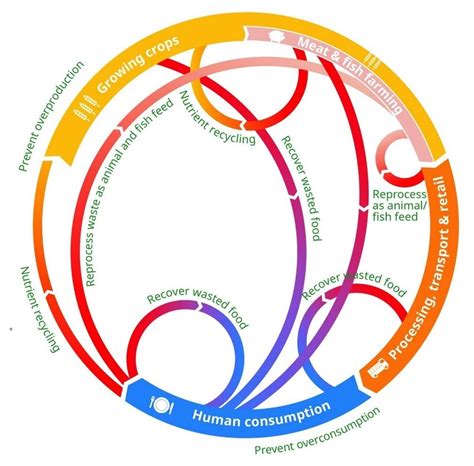 Thesis Opportunities Circular Economy For Agri Food Systems Rural