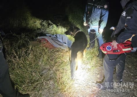 119구조견 ‘투리 산청서 70대 실종자 무사 구조