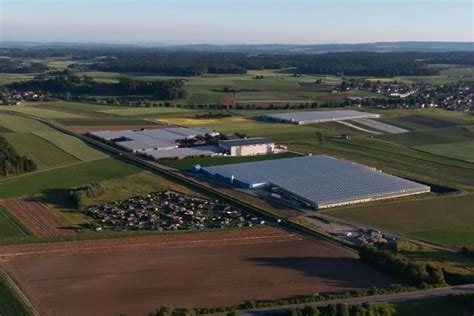 vegetable producer grob aims   carbon neutral