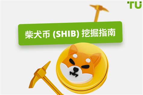 如何挖掘柴犬币 Shib 新手指南