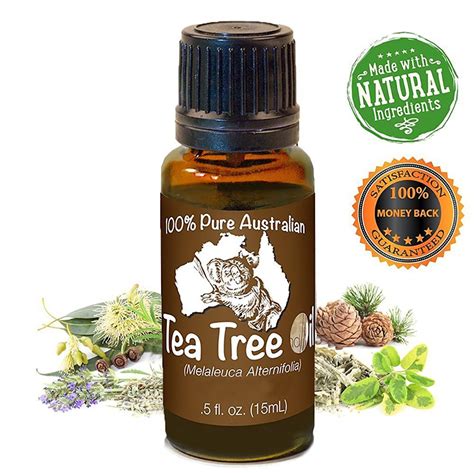 Buy Premium Tea Tree Essential Oil Melaleuca 15 Ml 100 Natural