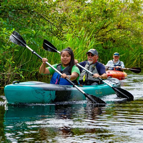 Home - Everglades Adventures Kayak & Eco Tours