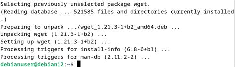 How To Install Wget On Debian Linuxways