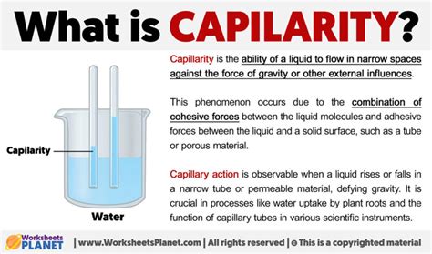 capilarity definition  capilarity