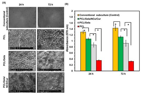 Materials Free Full Text Biodegradable Biopolymeric Nanoparticles For Biomedical