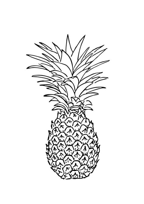 Desenhos De Frutas Para Colorir Amor De Pap Is