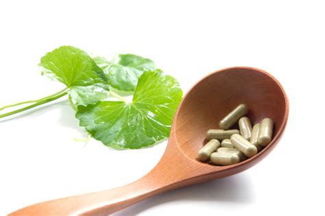 HPMC Capsules | SHANGHAI GUANG DE LI CAPSULE CO.,LTD | Ingredients Network