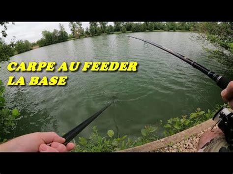 Peche De La Carpe Au Feeder Comment Bien Debuter Une Session En