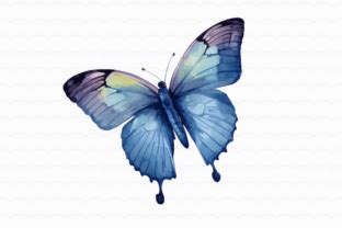 Butterfly Watercolor Sublimation Graphic By Sasikharn Creative Fabrica