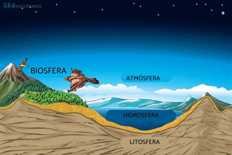 Biosfera Qué Es Capas Y Ejemplos Resumen Con Esquemas