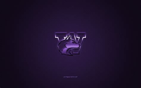 Download wallpapers Washington Huskies logo, American football club ...