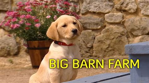 Big Barn Farm · Season 1 - Plex