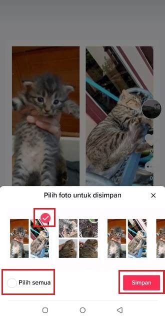 Cara Menyimpan Foto Dari Tiktok Ke Galeri Tanpa Watermark Rancah Post