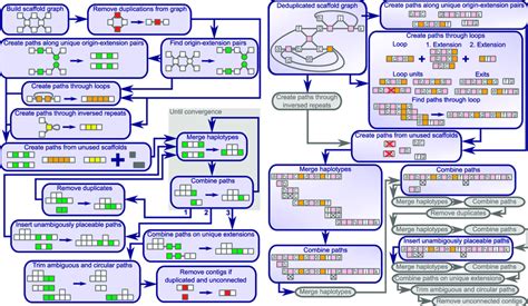 Overview over the graph traversal. (A) The functions called during the ...