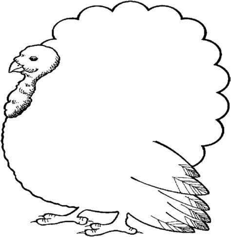 Turkey Template Clipart Clipart Suggest