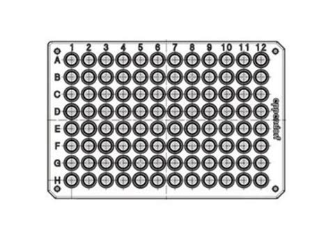 Eppendorf Twin Tec Pcr Plate Lobind Skirted Pcr Clean Barcoded