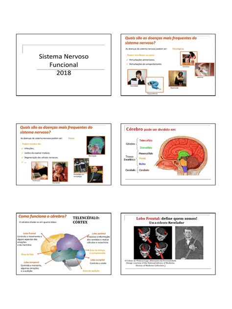 O Cérebro E Suas Funções Uma Análise Do Sistema Nervoso E De Doenças