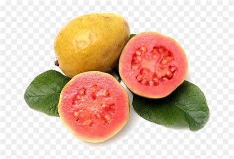 Fruta Goiaba Png Ripe Guava Transparent Png 1024x768 3485350