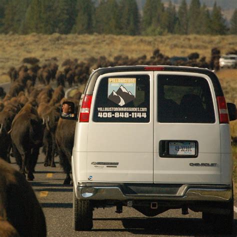 Yellowstone Tours | Yellowstone Hiking Tours | Guided Van Tours