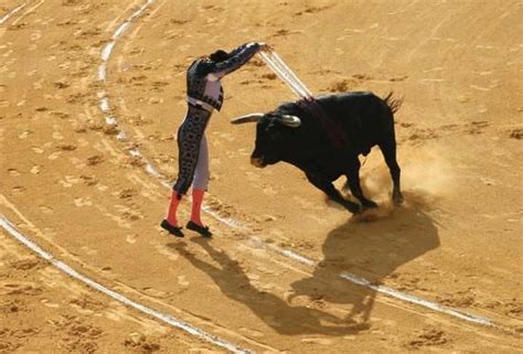 bullfighting - Students | Britannica Kids | Homework Help