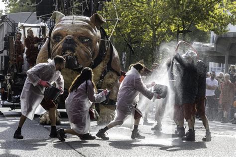 Monsieur Bourgognes Bull Machin Royal De Luxe