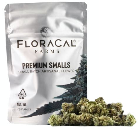 Floracal Flower 7g Smalls Sativa Orange Push Pop X Sunset Sherb Kiva