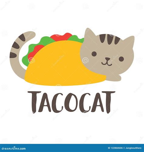 Cute Taco Cat Vector Illustration Stock Vector - Illustration of animal ...