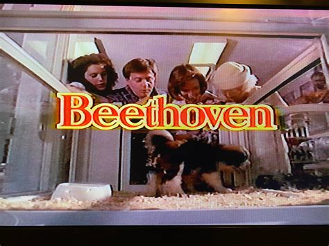 Beethoven 1992 Movie