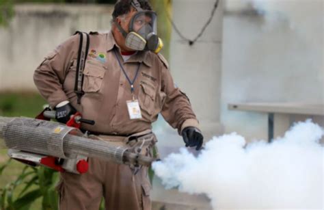 Veracruz Supera Los 10 Mil Casos De Dengue El Sol De Veracruz