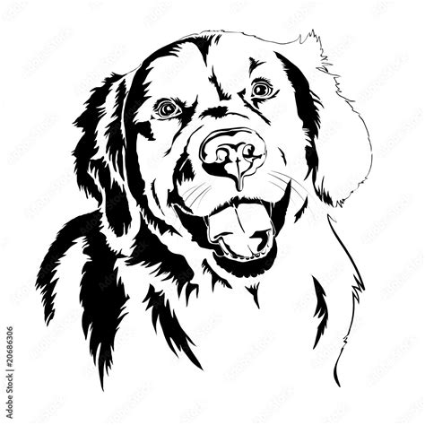 Golden Retriever Silhouette Vector De Stock Adobe Stock