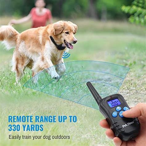 Dog Training Collar Shock with Remote | Dog Remote Training