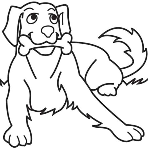 Cachorro Para Colorir 60 Desenhos Adoráveis Para Imprimir