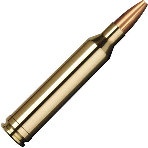 Balle De Chasse Norma Vulkan 180gr Calibre 30 06 Sprg