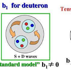 Tensor structure of the deuteron | Download Scientific Diagram