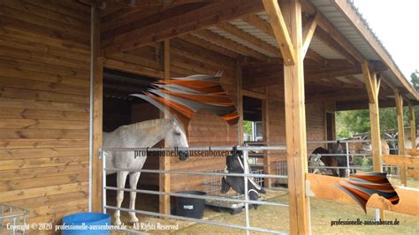 Pferdestall Bauen Pferdebox Au Enbox Offenstall Stallungen