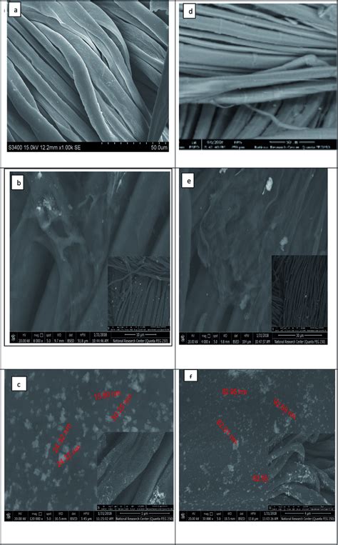 Sem Images Of The Coated Cotton And Linen Samples A B And C Sem