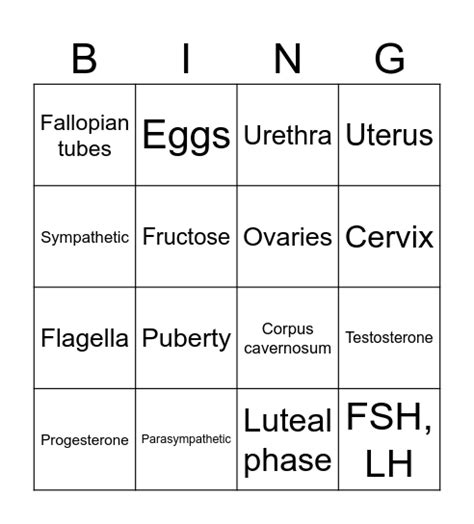 Reproductive System Bingo Card